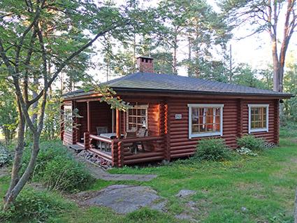 MÄNTYHAARA