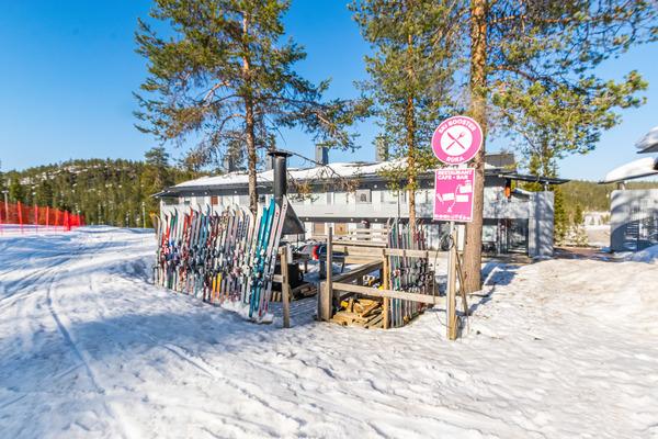 VUOSSELINHELMI C6