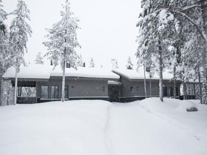 TUNTURIPÖLLÖ 3