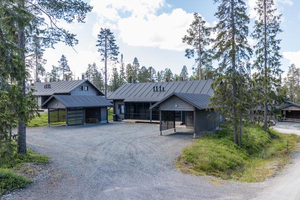 KESÄRINNE 1