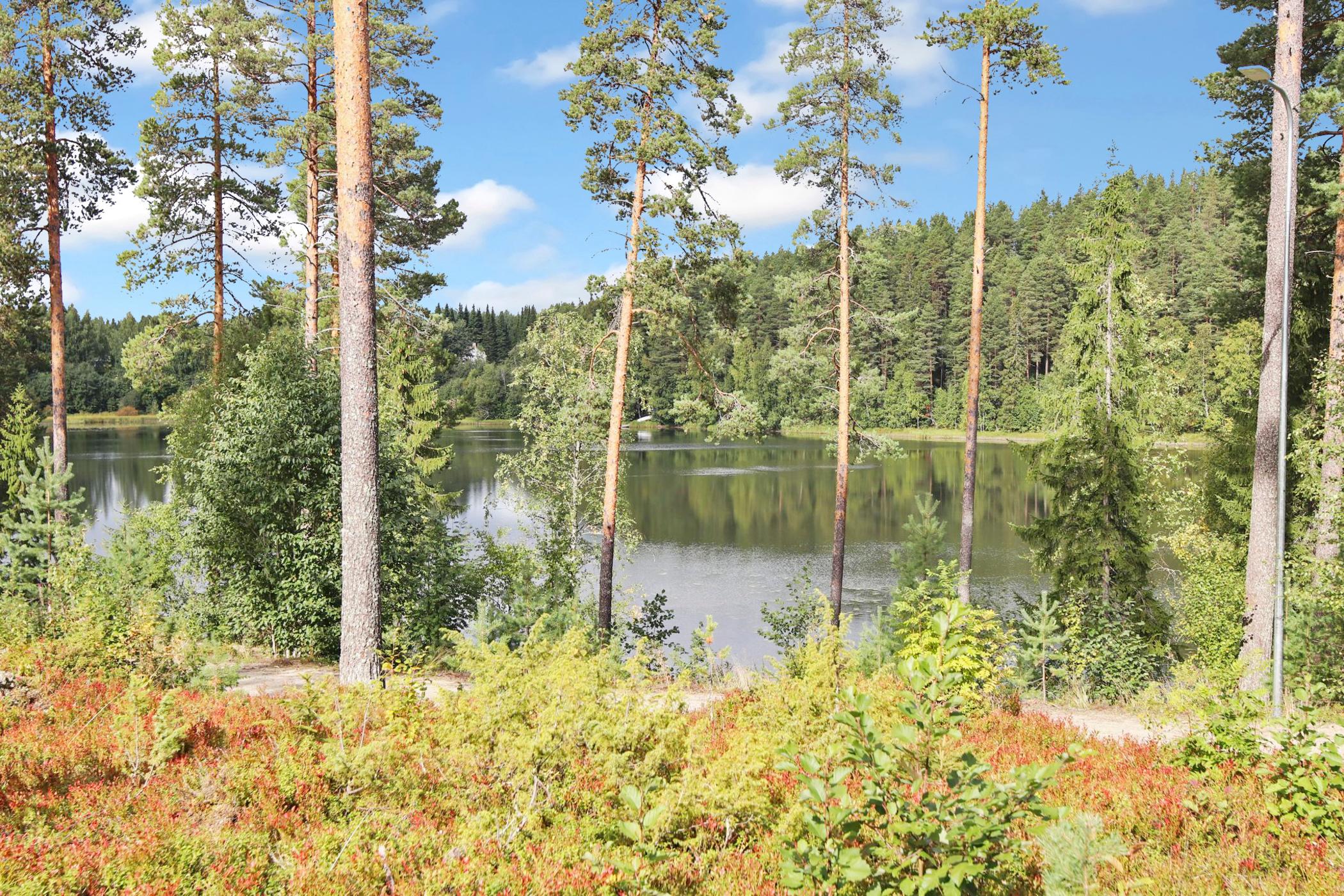 Mökkikuva 56 VUOKATIN LOISTE 9 A 2 Kainuu