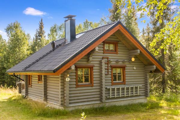 LOMAVÄINÖ 1
