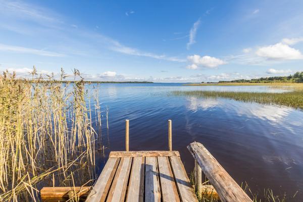 KAISLIKKO