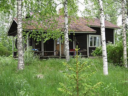 SAARI