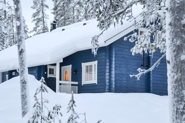 YLLÄS MUSTIKKA B