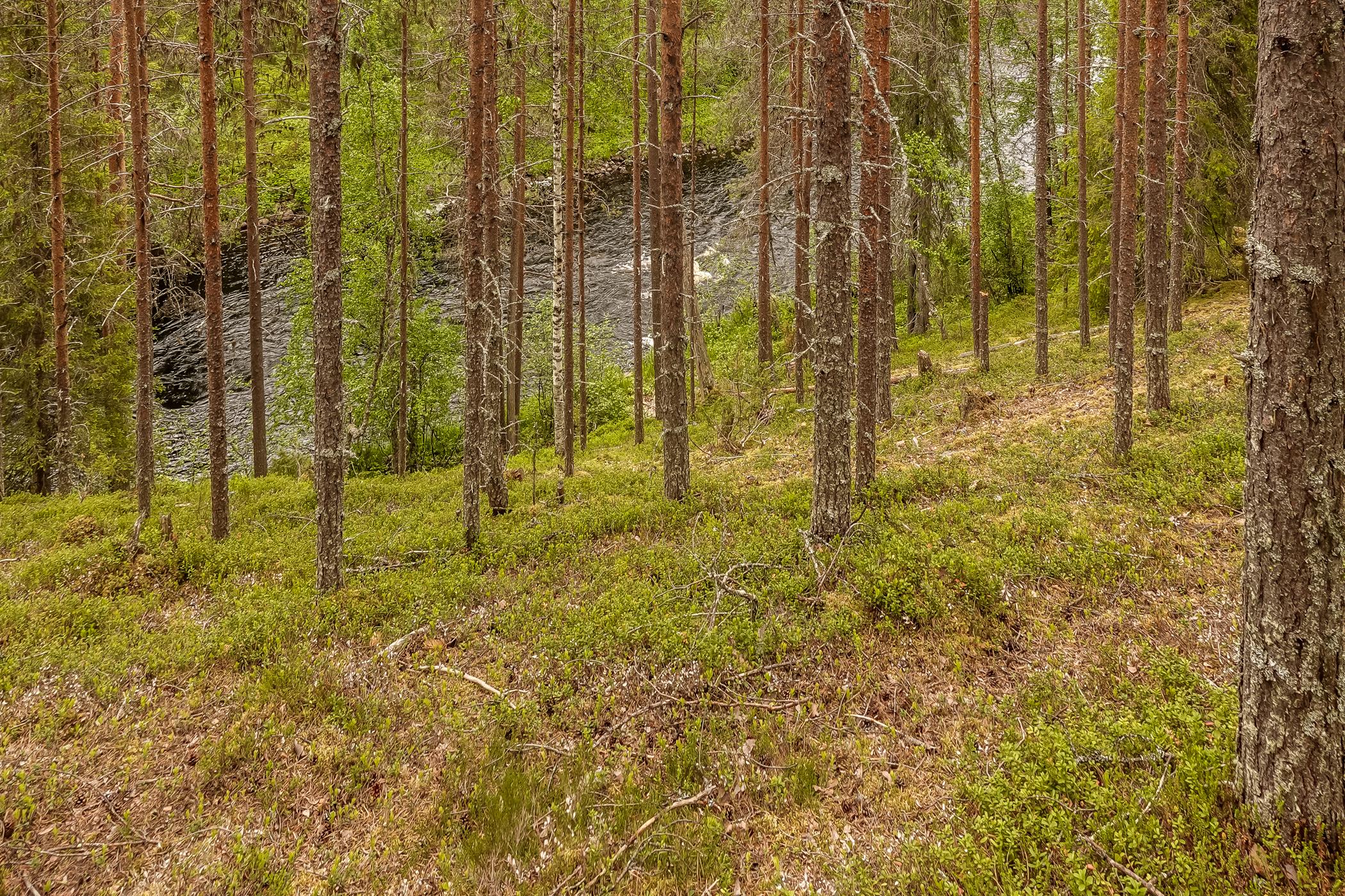 Mökkikuva 34 OULANGAN HELMI Lappi